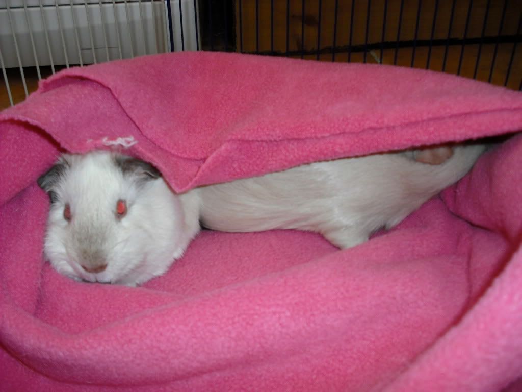 DSCF1476.jpg