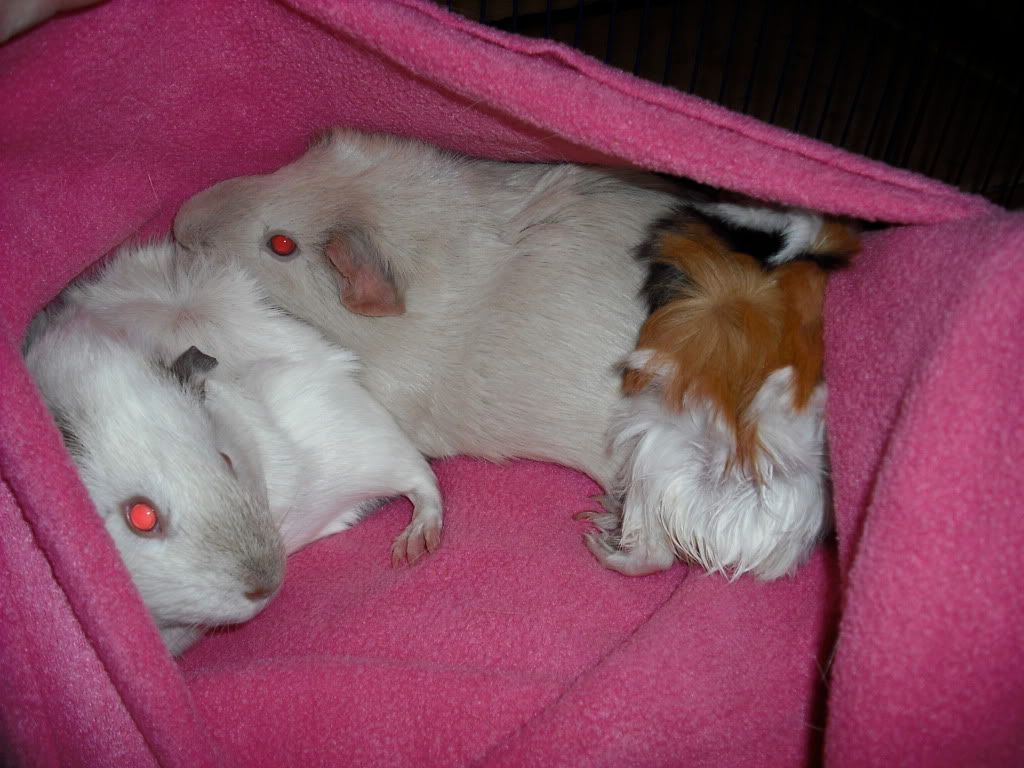 DSCF1483.jpg