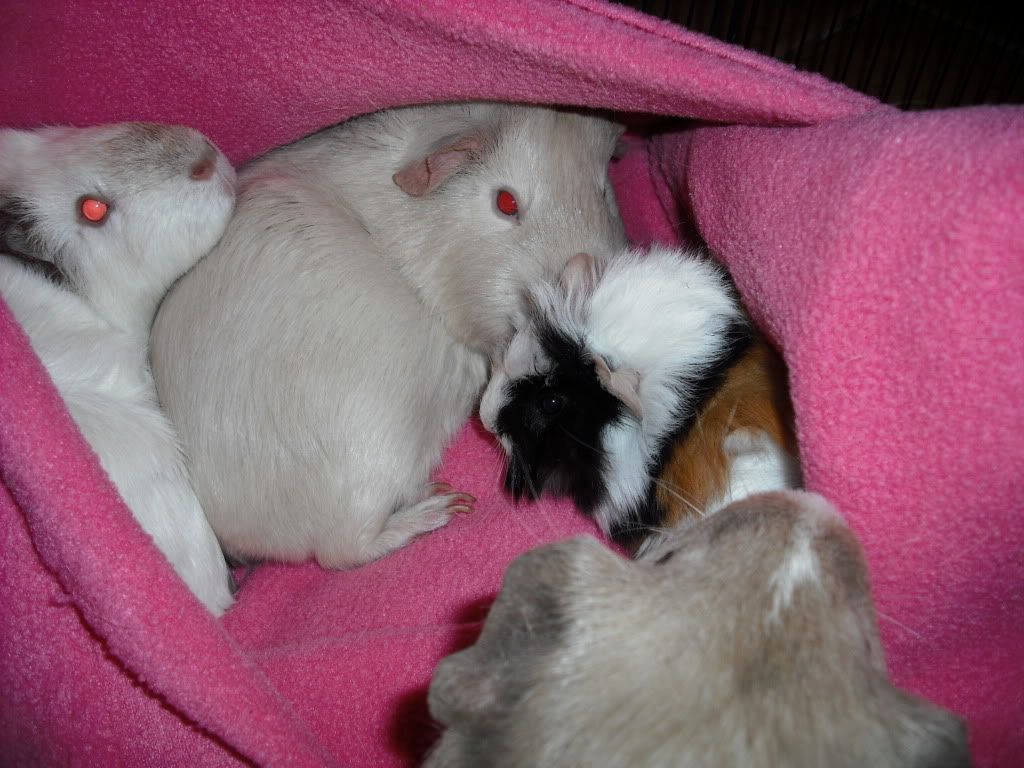 DSCF1484.jpg