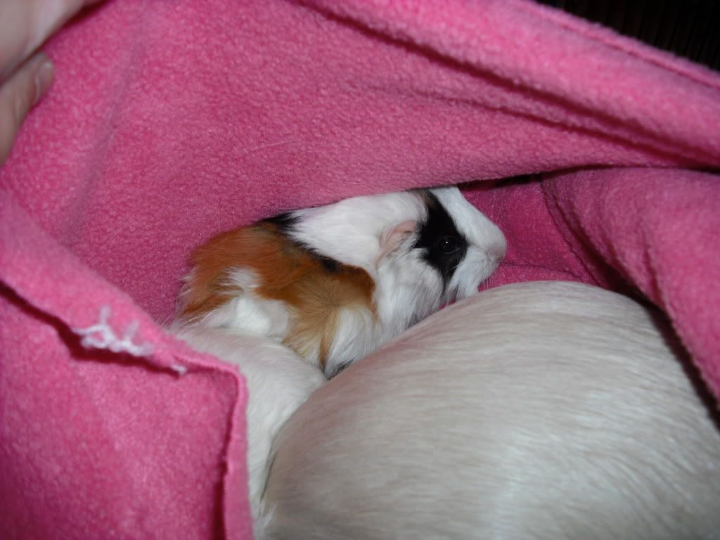 DSCF1487.jpg