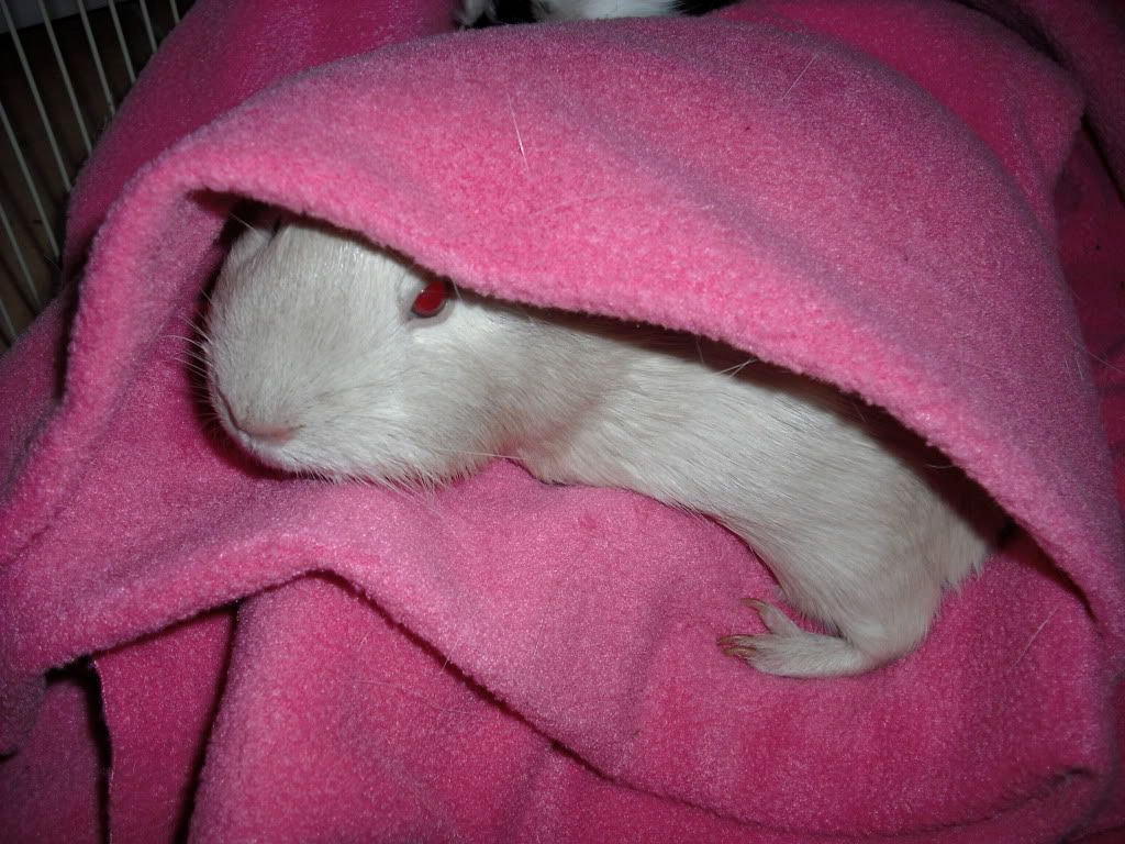 DSCF1489.jpg