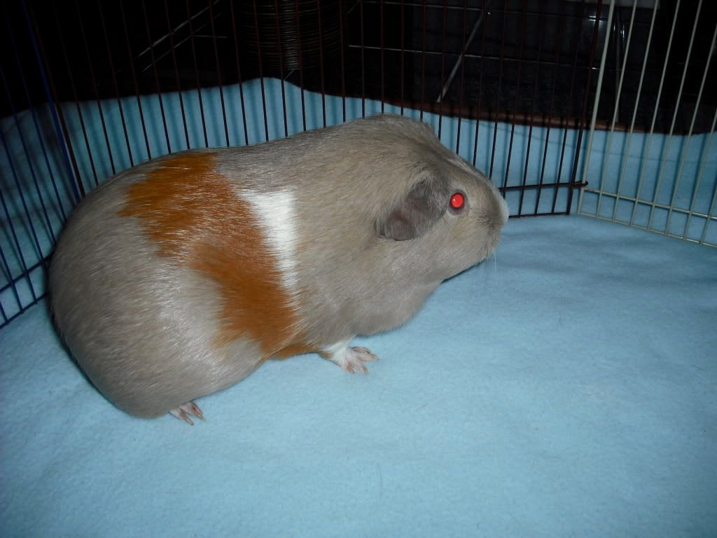 DSCF1567.jpg