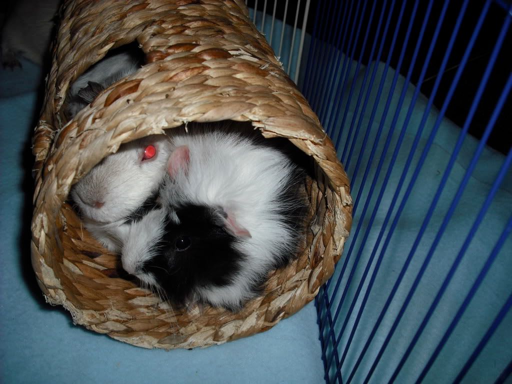 DSCF1569.jpg