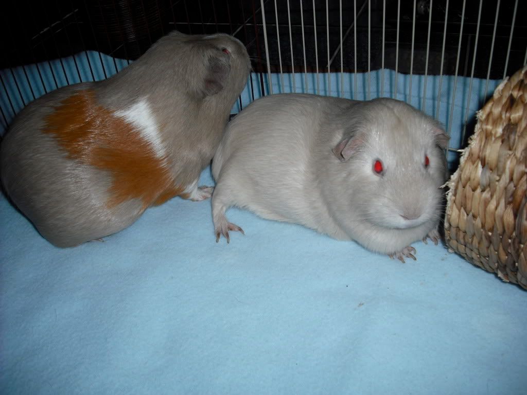 DSCF1570.jpg