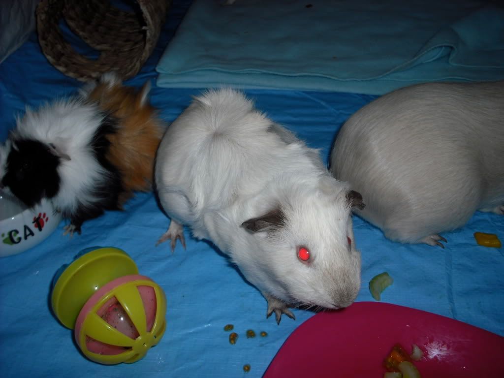 DSCF1576.jpg