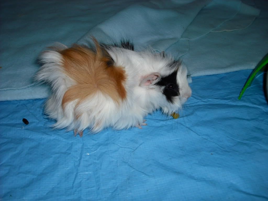 DSCF1580.jpg