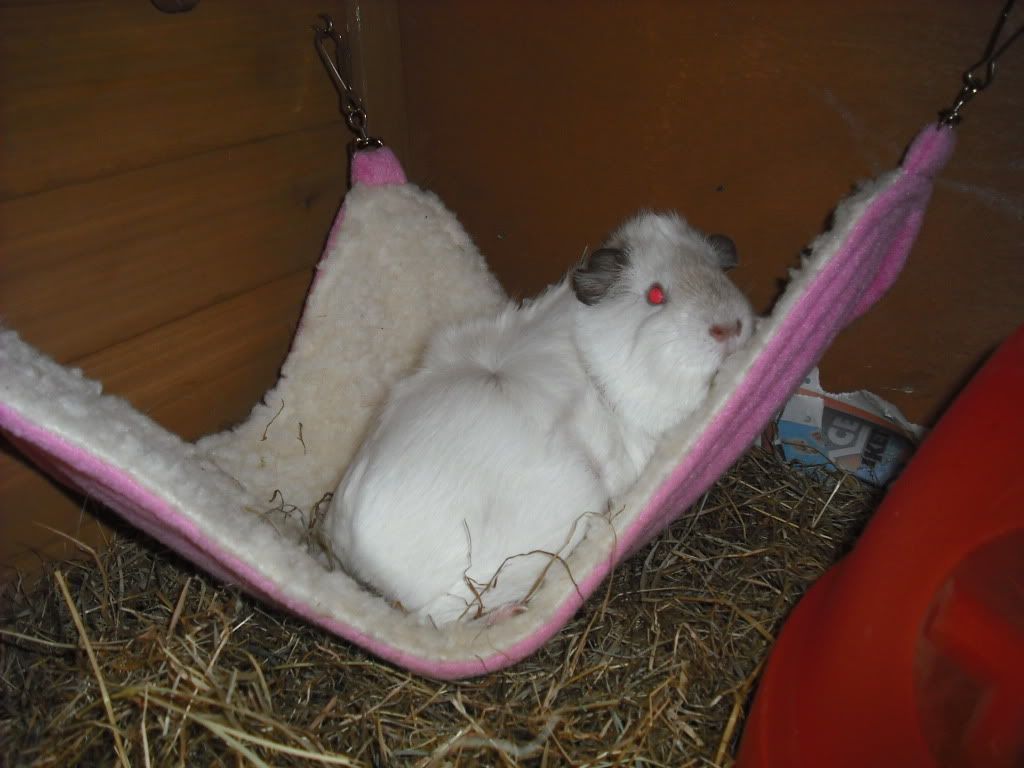DSCF1695.jpg