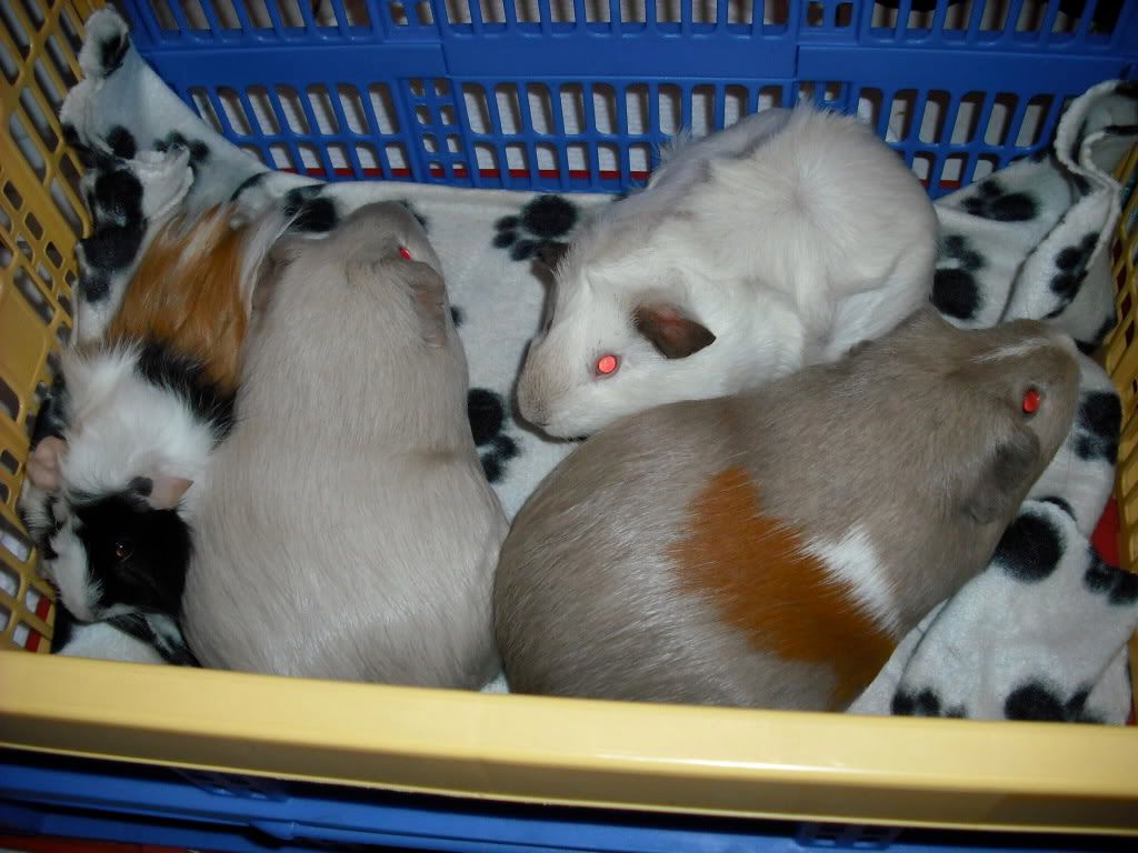 DSCF1702.jpg