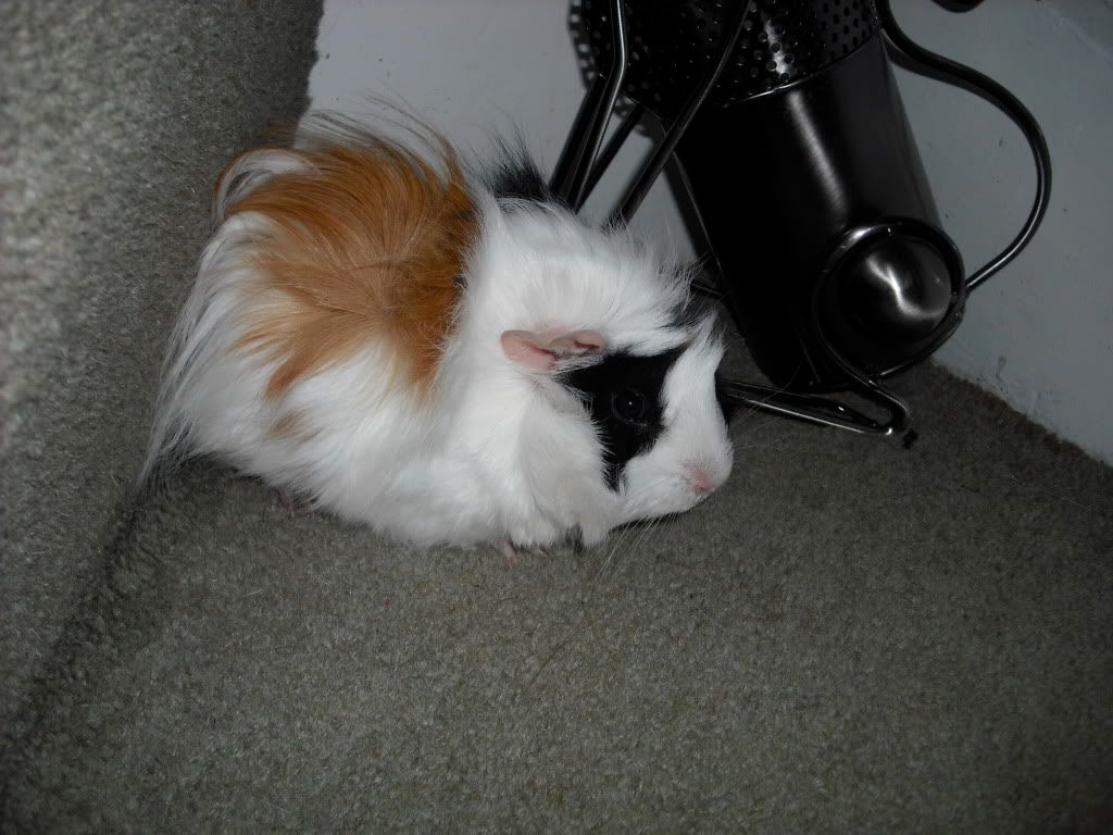 DSCF1724.jpg