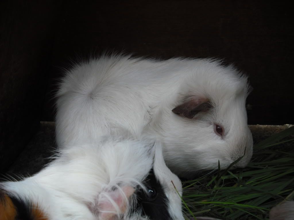 DSCF2289.jpg