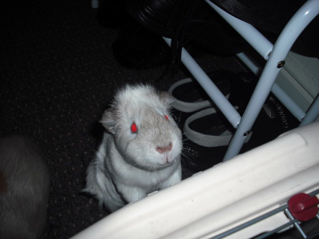 DSCF2683.jpg