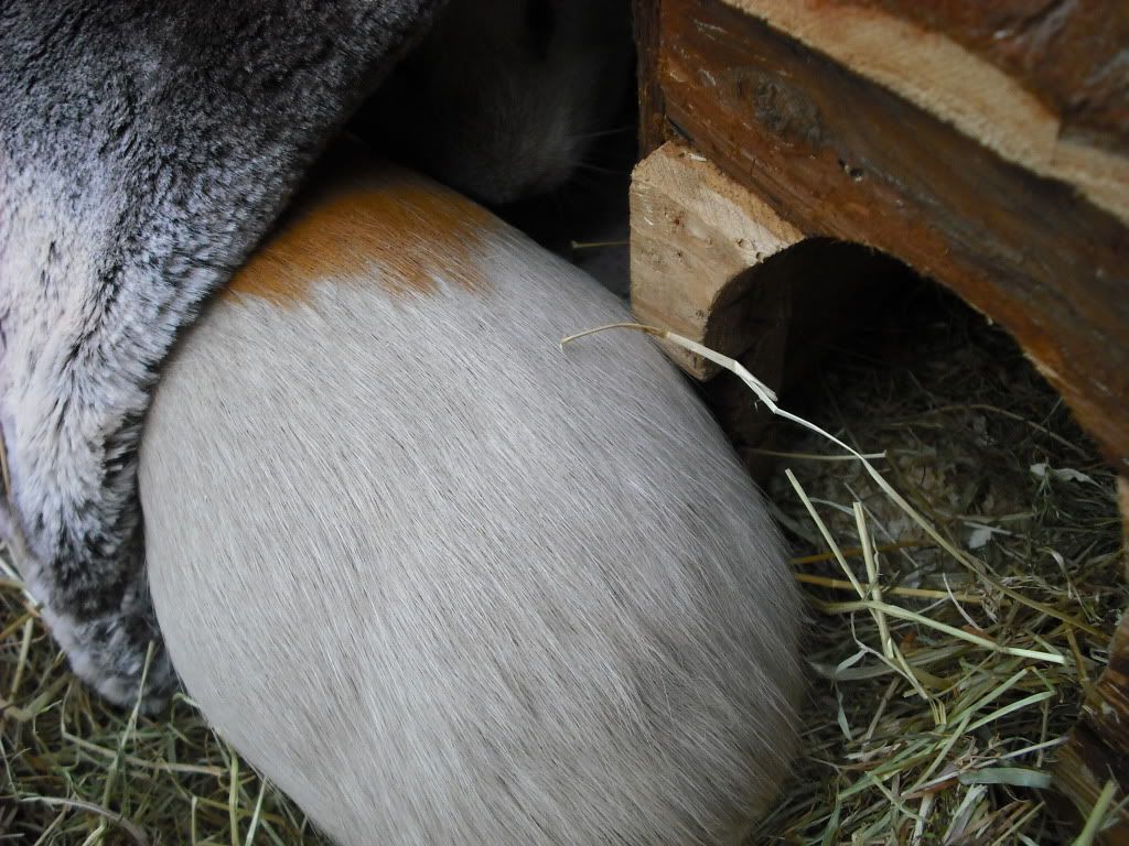 DSCF3773.jpg