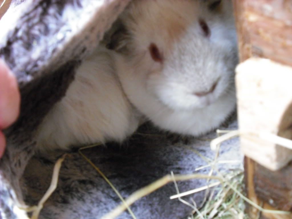DSCF3774.jpg