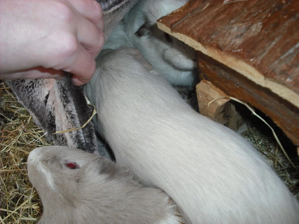 DSCF3778.jpg