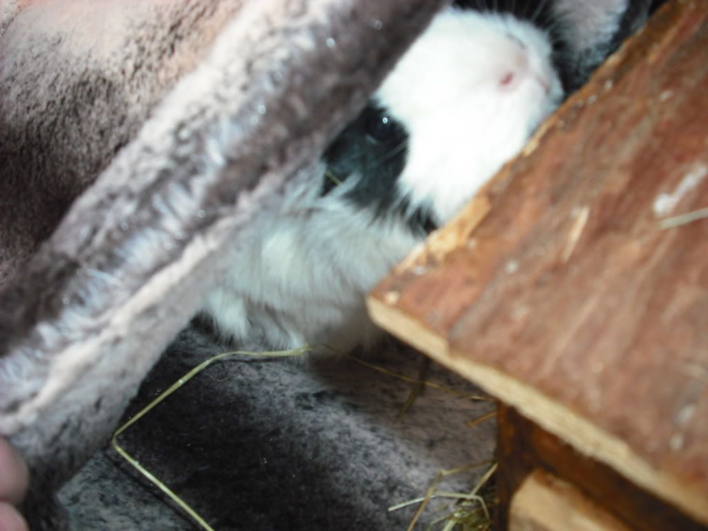 DSCF3780.jpg