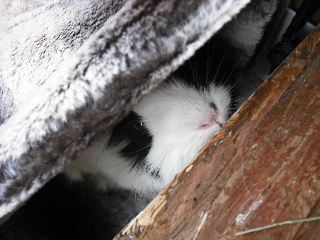 DSCF3783.jpg