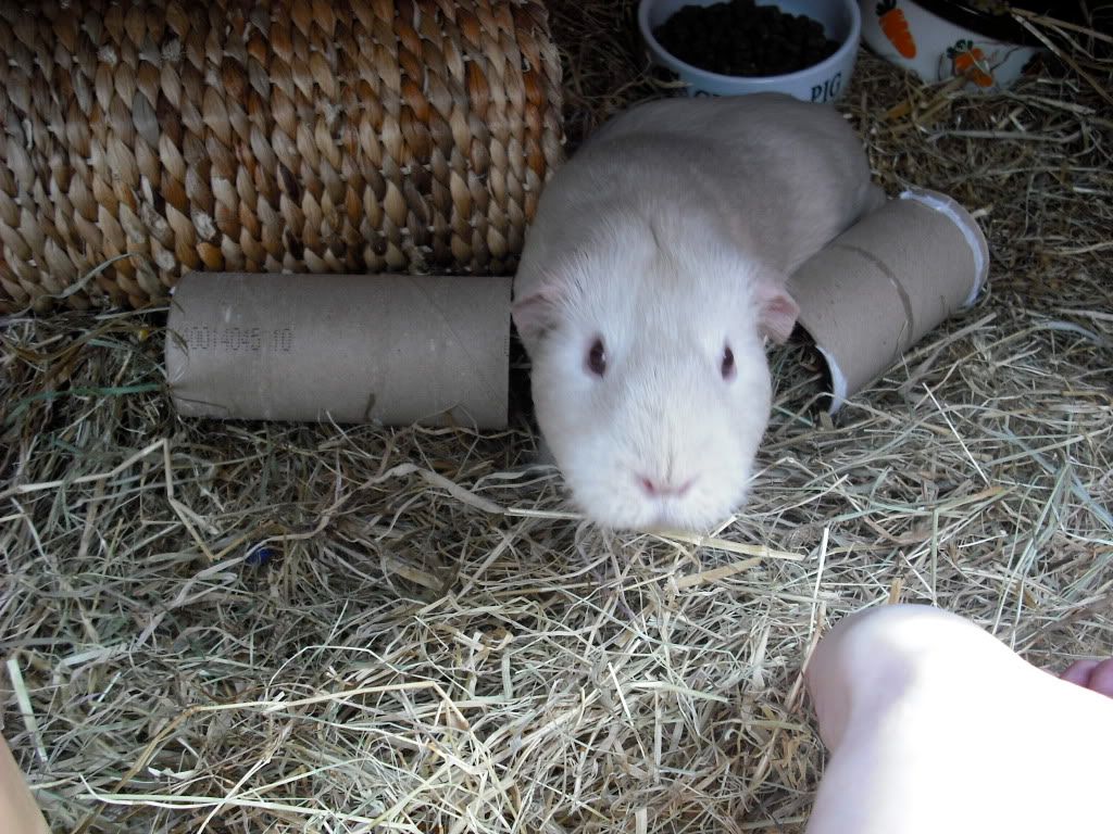 DSCF1272.jpg