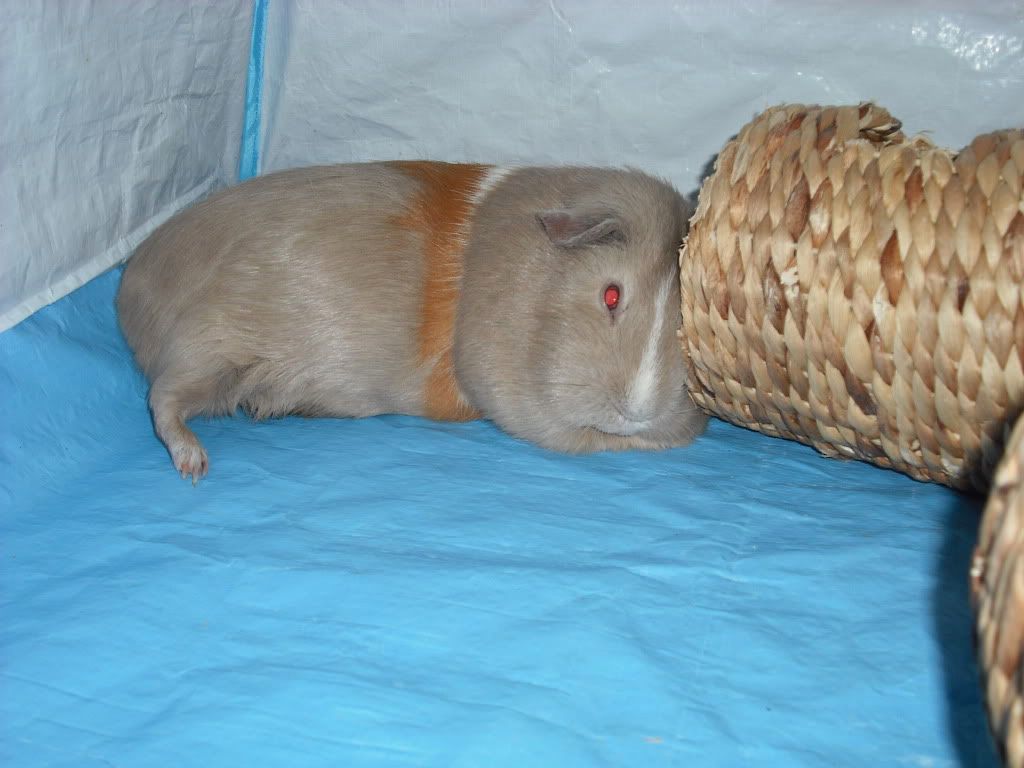 DSCF1360.jpg