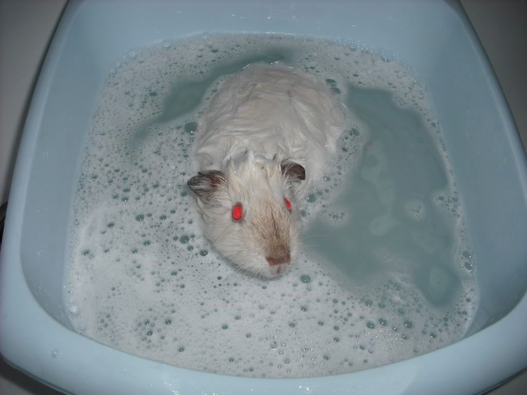DSCF1418.jpg