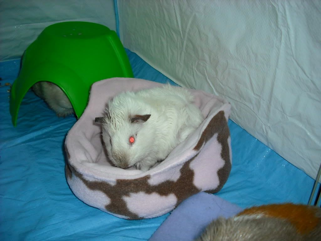 DSCF1431.jpg