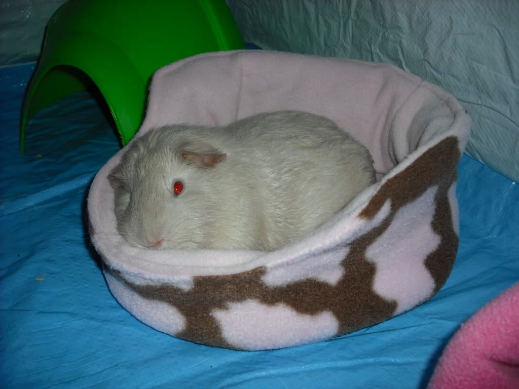 DSCF1438.jpg