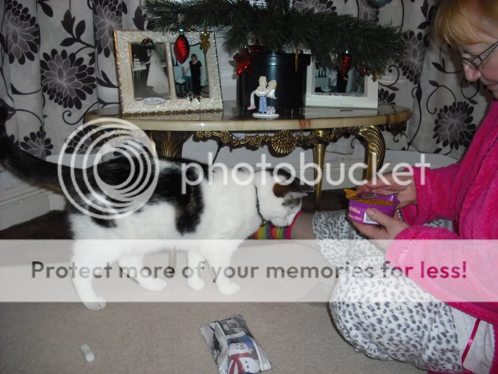 DSCF3690.jpg