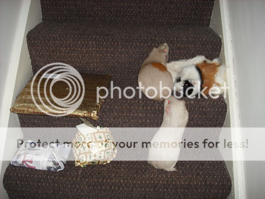 DSCF3696.jpg