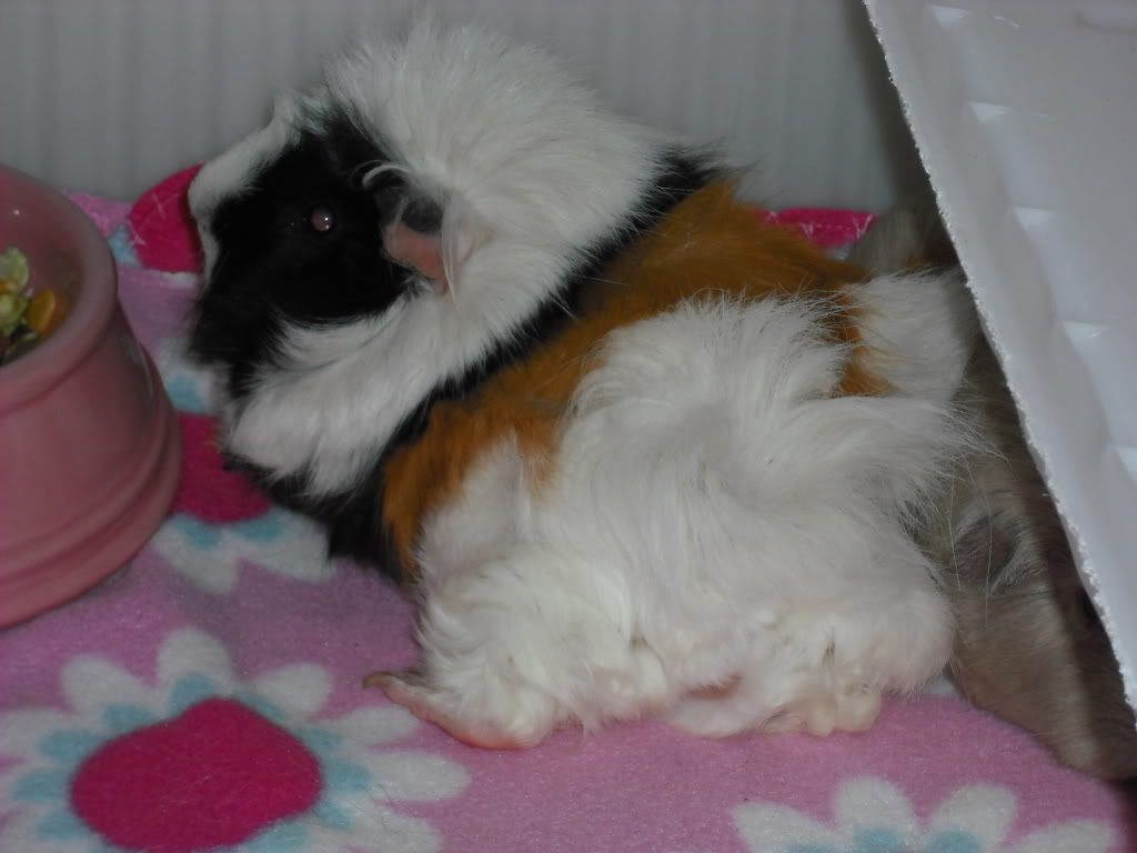 DSCF3711.jpg