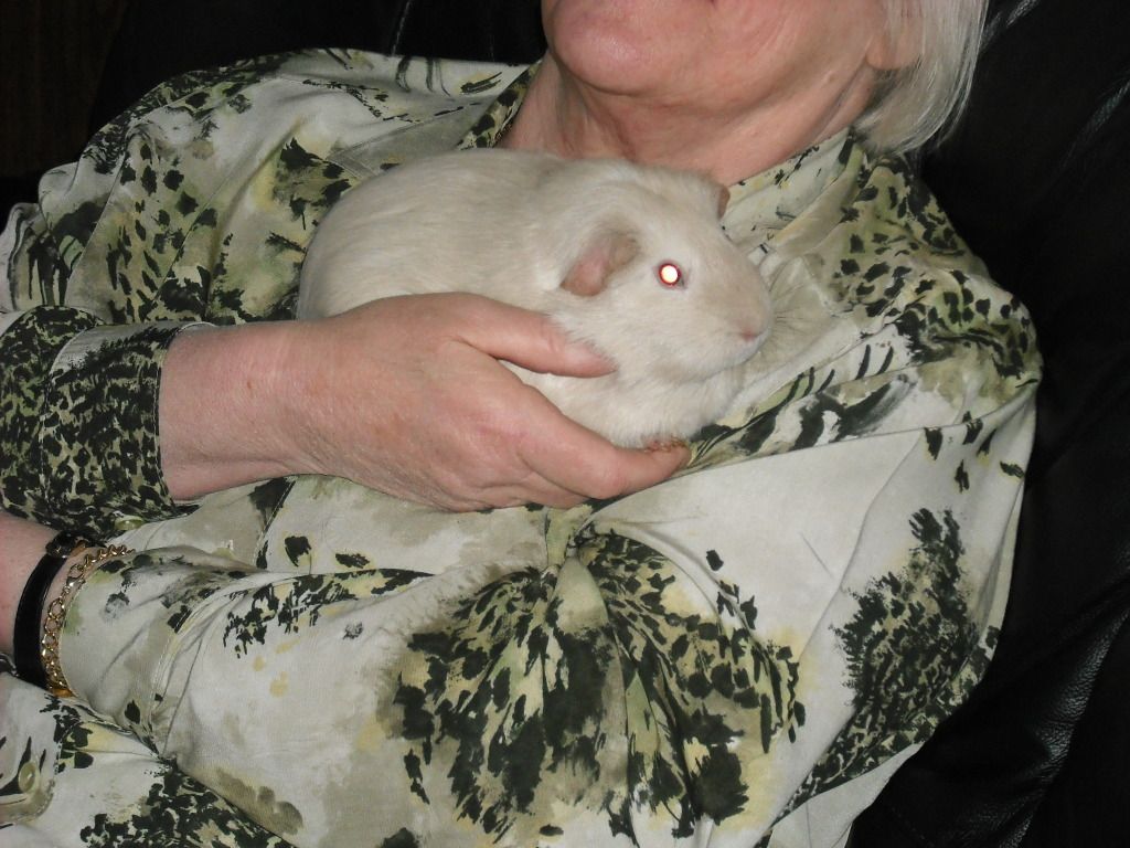 DSCF3944.jpg