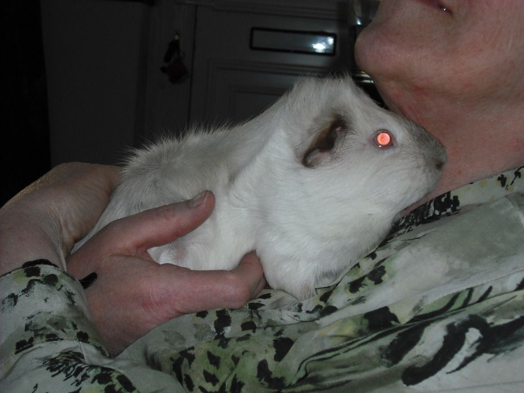 DSCF3946.jpg