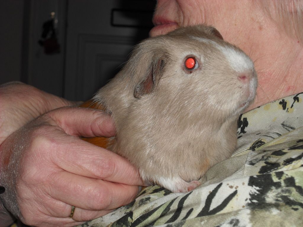 DSCF3948.jpg