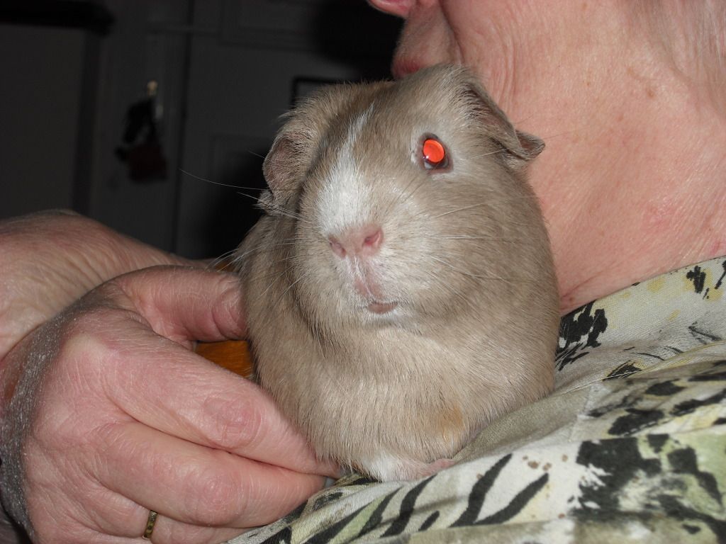 DSCF3949.jpg