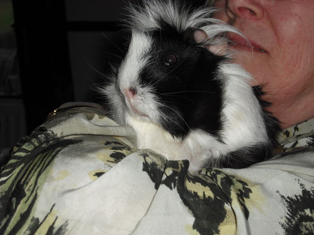 DSCF3951.jpg