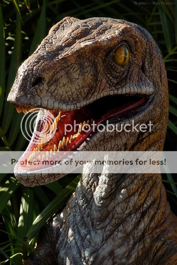 Velociraptor_6001.jpg