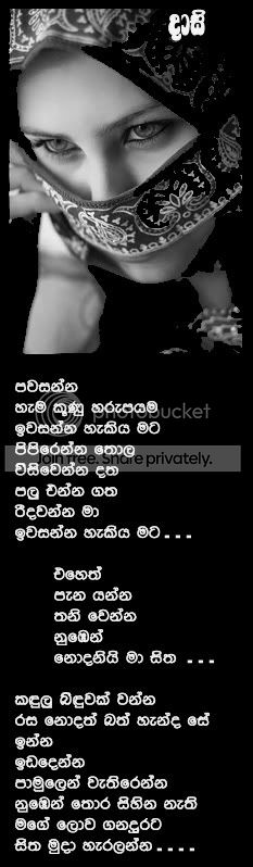 daaasi.jpg