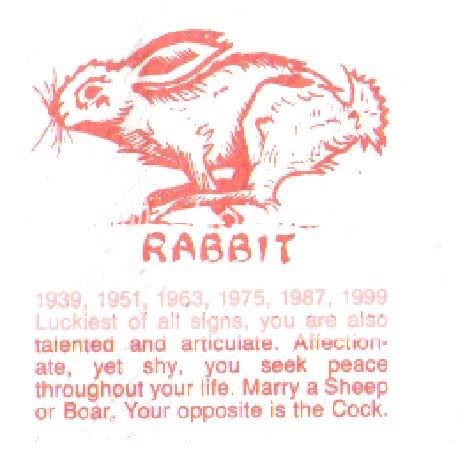year of rabbit Pictures, Images and Photos