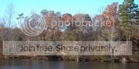 Whispering Forest banner