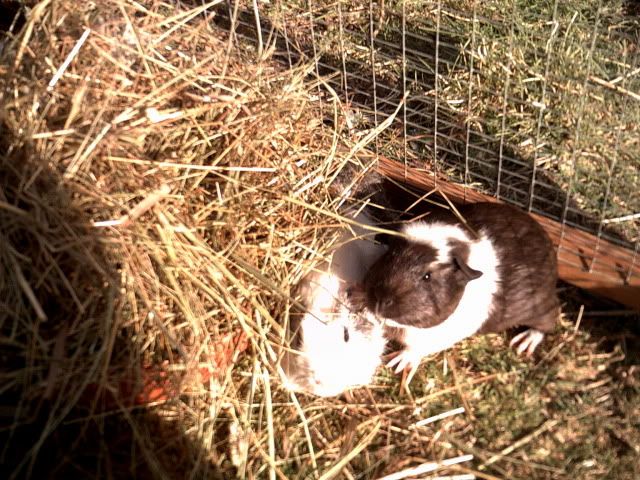 Picture946.jpg