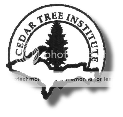 Nonprofit Cedar Tree Institute logo